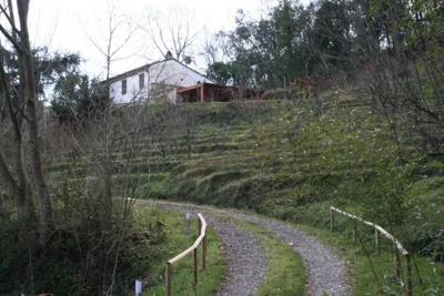 Casa di Campagna in Toscana – Photos 11